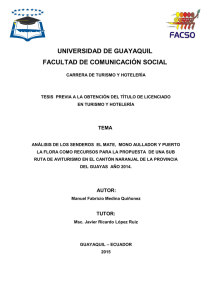 portada tesis manolo.pdf