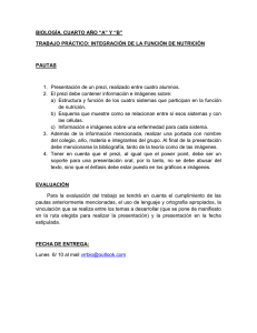 TRABAJO PRACTICO INTEGRACION DE LA FUNCIÓN DE NUTRICIÓN