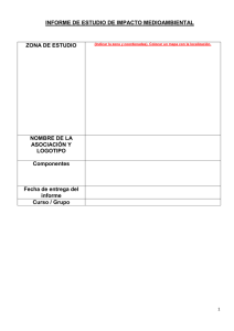 Plantilla Informe Impacto Ambiental | Zona Estudio y Medidas