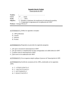 Guía de Trabajo 4° MEDIO