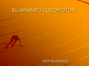 EL APARATO LOCOMOTOR