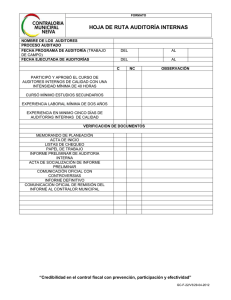 Hoja de Ruta Auditoría Interna: Planificación y Documentación