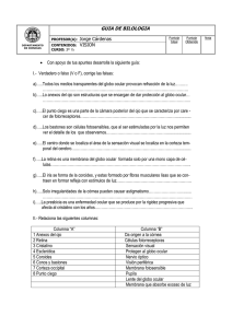 GUIA DEL OJO PIOJO