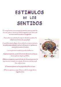 El cuerpo humano reacciona ante los estímulos externos, tanto físi