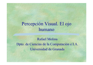 Percepción visual. El ojo humano