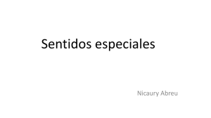 Sentidos especiales