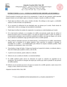 INSTRUCCIONES A LAS 6 - 8 SEMANAS DESPUES DEL