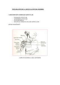 EXPLORACIÓN DE LA ARTICULACIÓN DEL HOMBRO 1