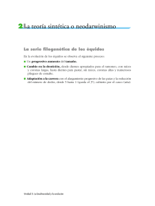 2La teoría sintética o neodarwinismo