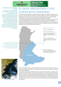 el mar argentino y sus corrientes marinas