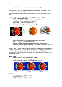 Desarrollo visual en el niño - Bienvenido a Oftalmología Privada