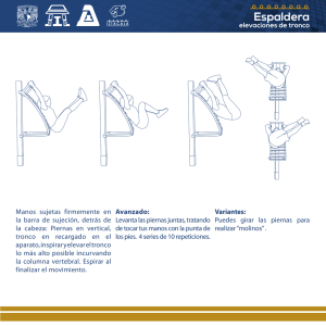 Espaldera elevaciones de tronco