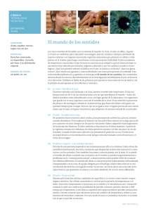 El mundo de los sentidos