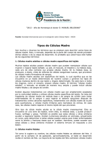 Tipos de Células Madre