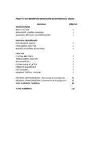 Plan de Estudios