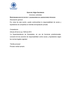 Guía de Litigio Societario Acciones Judiciales Descripción general