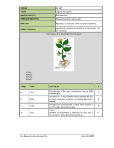 Órganos de la planta