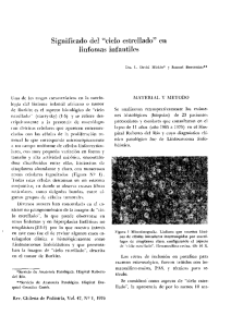 Significado del "cielo estrellado" en linfomas infantiles