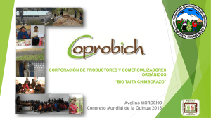 CORPORACIÓN DE PRODUCTORES Y COMERCIALIZADORES