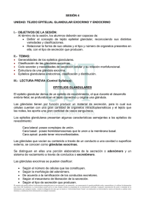 SESIÓN 4 UNIDAD: TEJIDO EPITELIAL GLANDULAR EXOCRINO Y