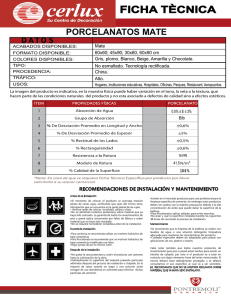 Ficha Técnica Porcelanato Mate: Características y Recomendaciones