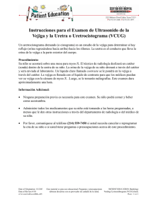 Instrucciones para el Examen de Ultrasonido de la Vejiga y la Uretra