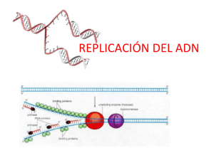 REPLICACIÓN DEL ADN