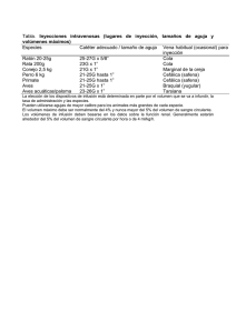 Tabla. Inyecciones intravenosas (lugares de inyección, tamaños de
