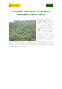 bosques mixtos de frondosas en región biogeográfica