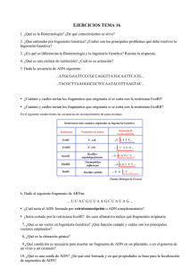 EJERCICIOS ingeniería genética