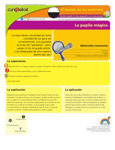 La pupila mágica 1 2 3