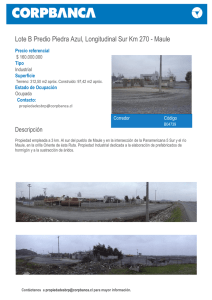 Lote B Predio Piedra Azul, Longitudinal Sur Km 270