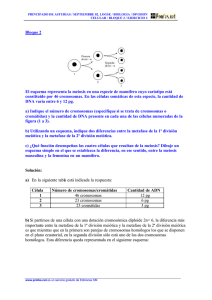 pas02lbidc2