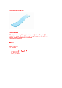 Trampolín elástico Delfino. Características: Pista de gran anchura