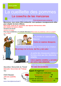 Pommes version espagnole