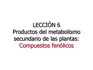 LECCIÓN 6 Productos del metabolismo secundario de las plantas