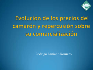 Evolucion de los preios del camarón y repercusión sobre su