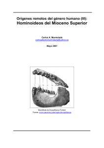 Hominoideos del Mioceno Superior