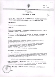 acta del consejo de gobierno en sesión ejecutiva ordinaria