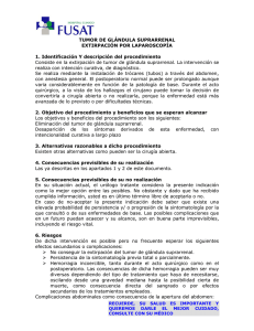TUMOR DE GLÁNDULA SUPRARRENAL EXTIRPACIÓN