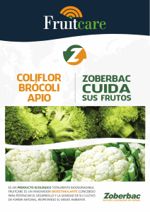 Folleto FRUITCARE Brocoli y Coliflor