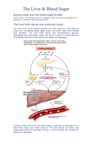 The Liver and Blood Sugar