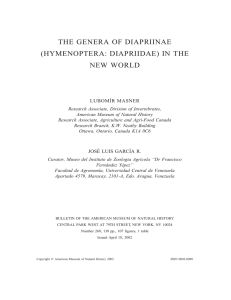 the genera of diapriinae (hymenoptera: diapriidae) in the new world