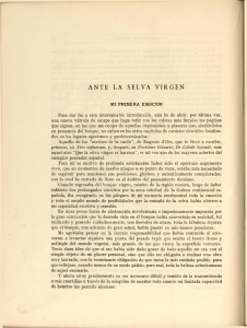 ANTE LA SELVA VIRGEN