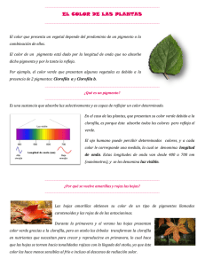 El Color de las Plantas: Pigmentos y Longitud de Onda