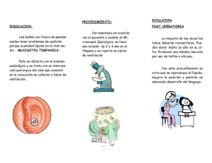 INDICACION: Los bebés con fisura de paladar suelen tener