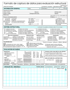 Formato de Captura de Datos para Evaluación Estructural
