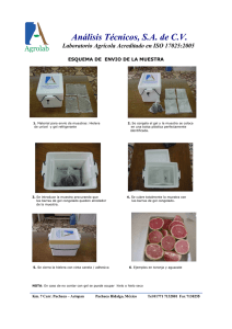 Esquema Gráfico de Envío de Muestras de Pesticidas