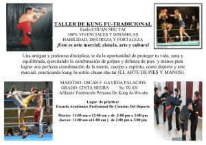 TALLER DE KUNG FU