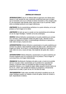 anomalias visuales